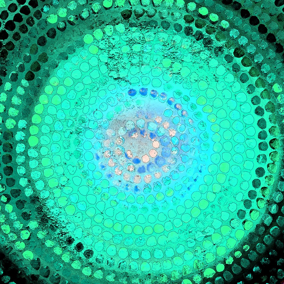 Atlantis